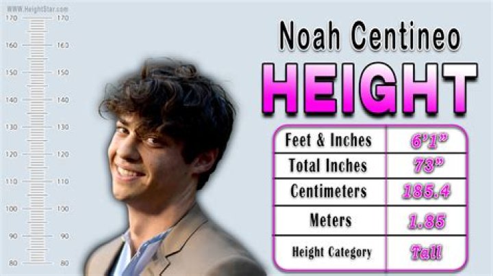 Unveiling The Impact: Noah Centineo's Height